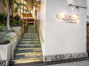 The Equus