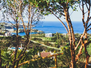 Wild Pear Villa