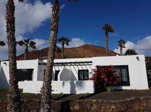 Palmeras Garden