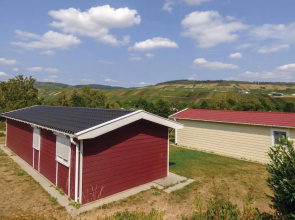 Amazing Home in Riol an der Mosel With 2 Bedrooms