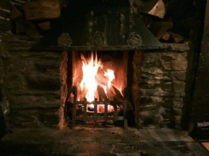 The Dolphin Inn