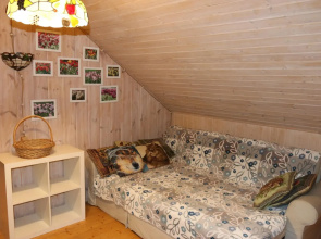 Banya-Dom Mishutkino Guest house