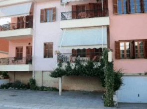Chrysoula's Guests
