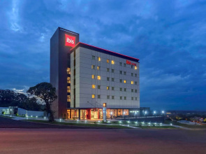 ibis Guaiba