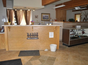 Super 8 by Wyndham Newcastle