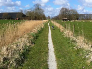 B&B De Oelesprong Westernieland