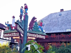 Pine Cones in the Haslehaus