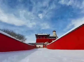 Shanshe Homestay (Wutaishan Guanghuasi Branch)