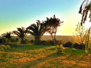 Sunshine Studios