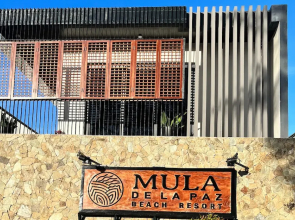 Mula De La Paz