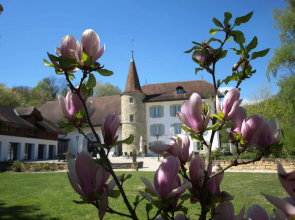 Chateau Salavaux
