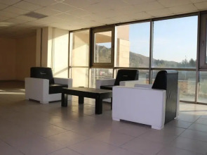 Otel Palmiyem