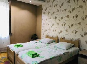 Guesthouse Mtkvari