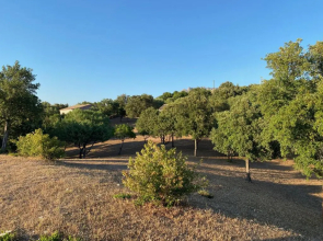 Li Paduleddi Country Guest House