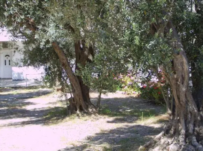 Thendraki Apartments