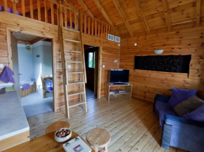 Belfer's Dead Sea cabins- Apartments