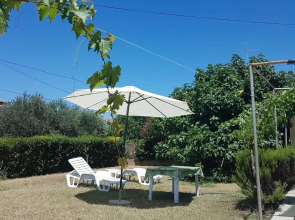 Ruža Apartmani Zadar