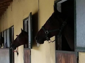 La Cascina del Castello