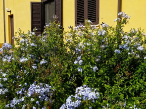 Vistazzurra B&B