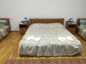 Hostel Lion