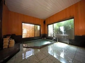 Shinshu Shimosuwa GinGetsu / Vacation STAY 28790