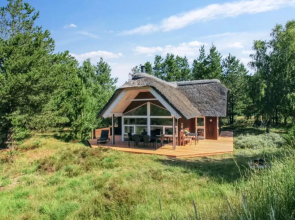 "Donka" - 1.1km from the sea in Western Jutland