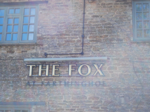 Fox At Farthinghoe