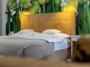 Palác Daun - Studio Apartments