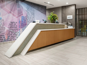 SpringHill Suites by Marriott Raleigh Apex
