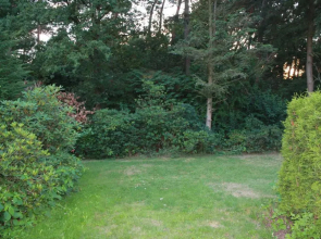 Bungalow Hartje Veluwe