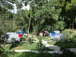 Charco corazón