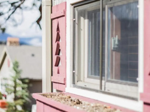 Cozy 1-bedroom cabin with kitchen Dogs OK