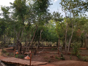 Sigiri Wilderness Resort