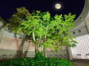 Hagi Grand Hotel Tenku