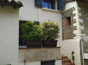 Chez Emilia