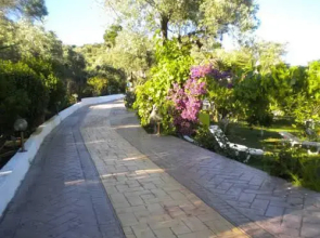 Siraina's Studios