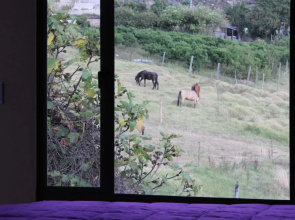 Hotel Campestre Villa Los Duraznos