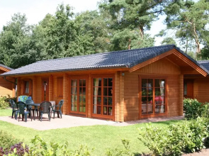Wooden Chalet in a Holiday Park in the Achterhoek