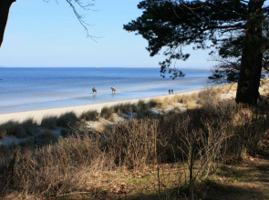 Holiday Home Strandbusch