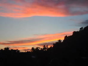 Saikia Nest the Home-stay