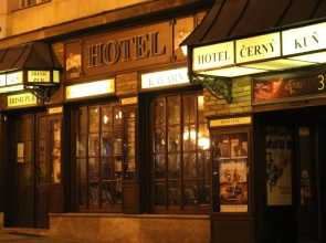 Hotel Cerny kun