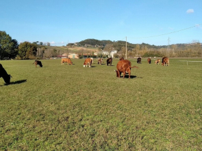 Agriturismo I Due Mondi