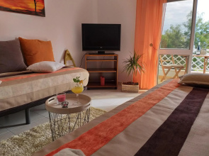 Pretty Sunny Guest Apartment