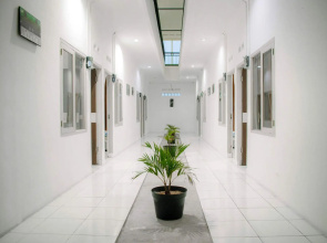 Sepohon Kost
