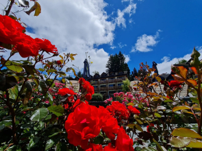 Bahia Manzano Resort