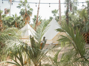 Cien Palmas Tent 1