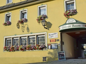 Hotel & Gasthof Grüner Baum