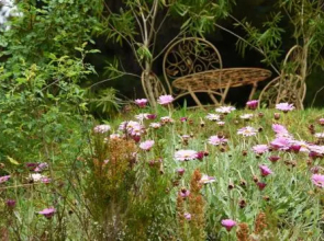 Yarra Ranges Country Apartment