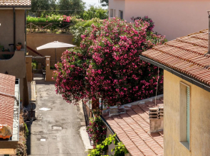 Hotel Il Telamonio