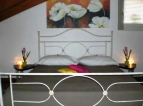Abelia Holiday House